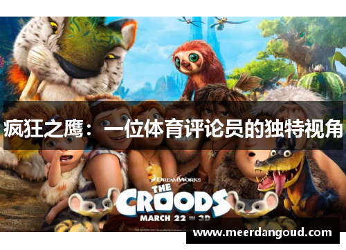 疯狂之鹰：一位体育评论员的独特视角