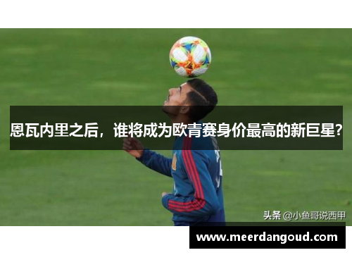 恩瓦内里之后，谁将成为欧青赛身价最高的新巨星？