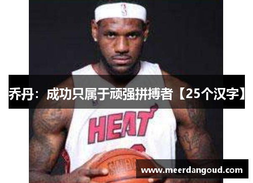 乔丹：成功只属于顽强拼搏者【25个汉字】